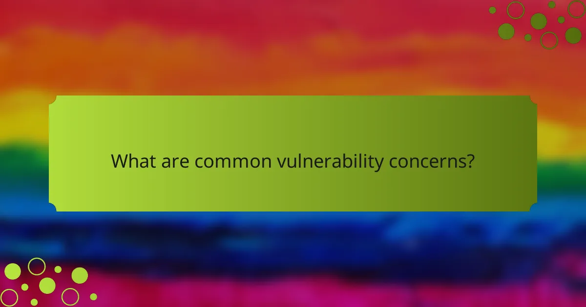 What are common vulnerability concerns?